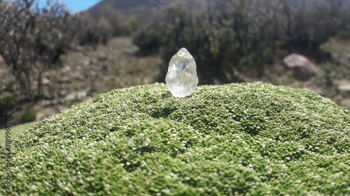 diamante en bruto  musgo verde  naturaleza mineral piedra preciosa  campo  roca  montaña cristal desolado 
