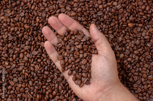 Roasted coffee beans on hand. A man holds pinch of coffee on background of coffee beans.