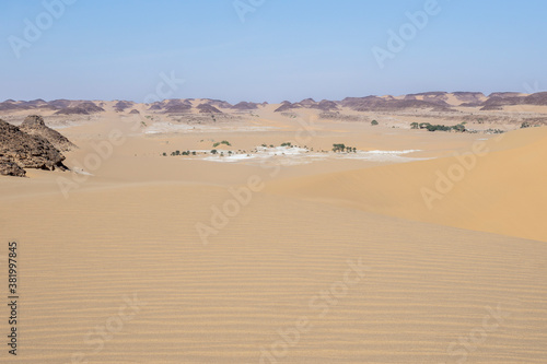 Oasis in the Sahara desert in Chad