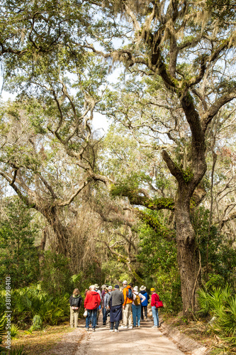 Cumberland Island, Georgia, A group of tourists walking on a trail through a Live oak tree and spanish moss tunnel.
