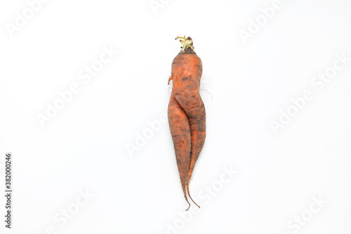 Conjoined dirty carrot. Ugly vegetable. Concept - Food waste reduction. Using in cooking imperfect products