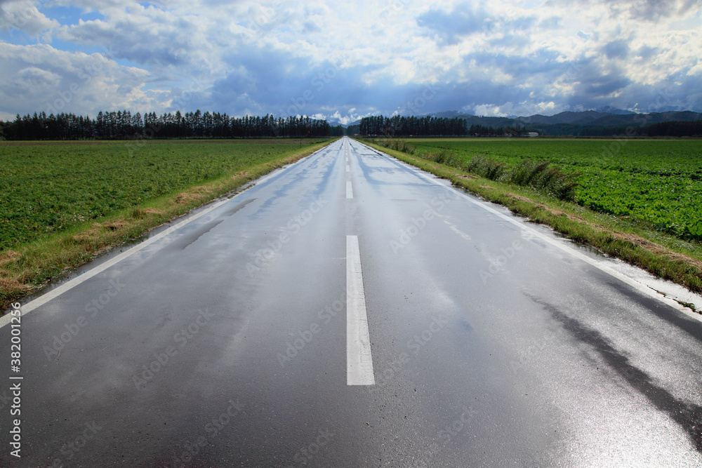 雨上がりの一本道