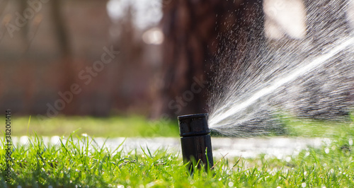 Sprinkler sprinkles water on the lawn. Automatic lawn watering system. Space for text.