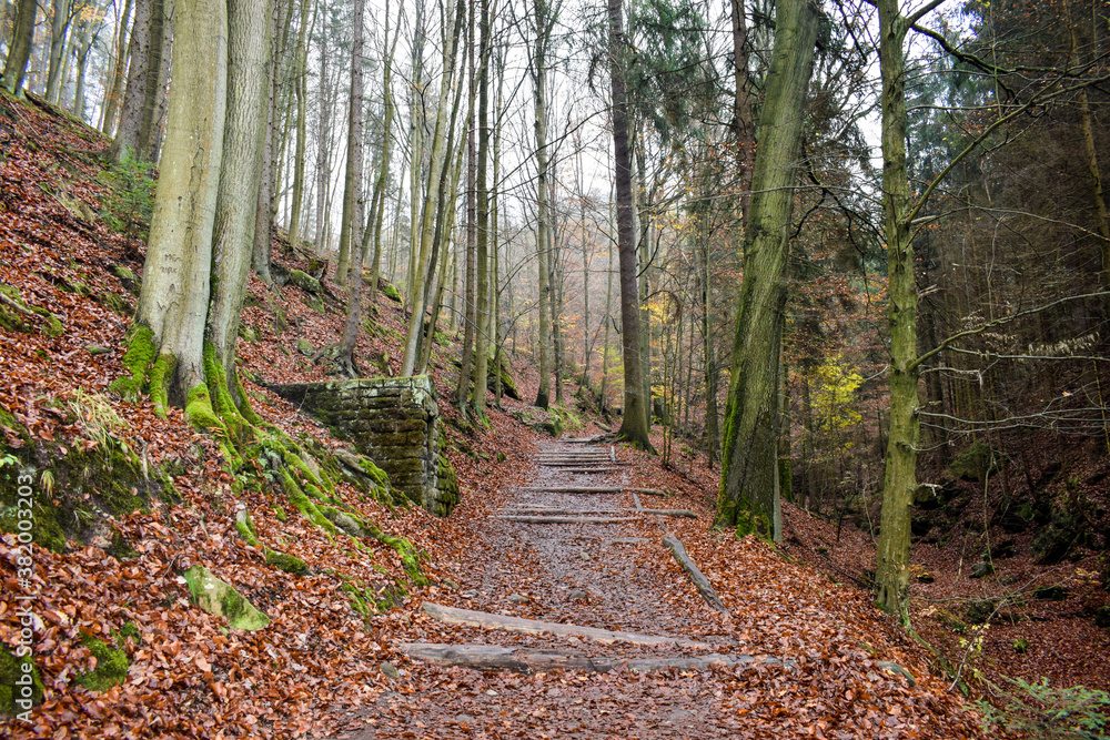 Fototapeta premium autumn in the mountains