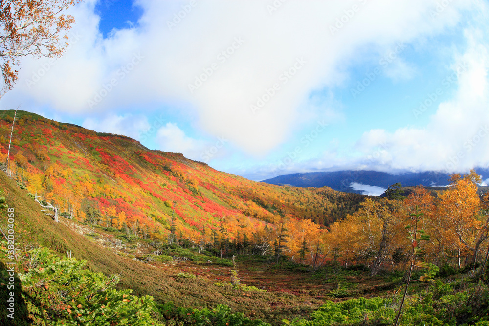 銀泉台の紅葉