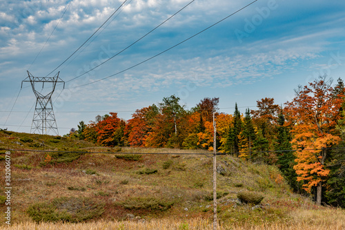 Hydro One power corridor fall colours colors copy space