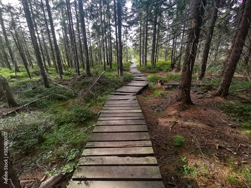 Footbridge on the trail - Giant Mountains - Poland