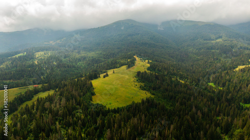 Green meadow in mountain. Composition of nature. © Aleksander