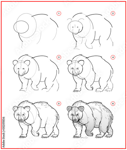 Page shows how to learn to draw sketch of cute bear. Creation step by step pencil drawing. Educational page for artists. Textbook for developing artistic skills. Online education.