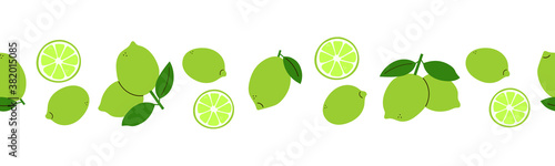 Line pattern with lime fruit. Modern seamless border. Positive limes isolated on white background. Set of vector elements. Endless ornament. Design template. Edge decor in flat style. Citrus frame