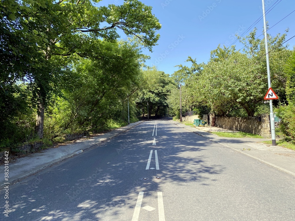 Looking along, Woodhall Lane, with stone walls, and old trees, on a sunny day in, Calverley, Leeds, UK