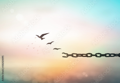 Individual human right day concept: Silhouette of bird flying and broken chains over blurred sunrise background