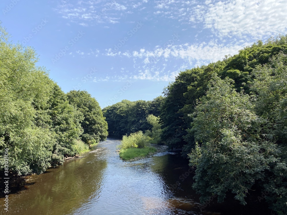 The river Aire, as it flows through Calverley, with tree lined banks, and a blue sky above in, Calverley, Leeds, UK