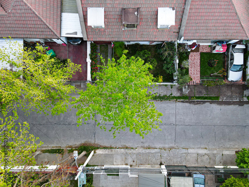 defaultA tree in the street looked from above with houses by the side. A car parked inside the front yard and roofs looked from above photo