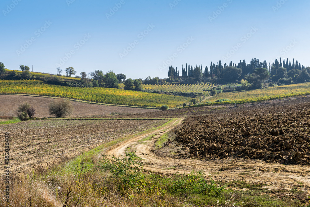 Autumn landscape in Tuscany, Italy, with a dirt winding road, plowed field and cypresses