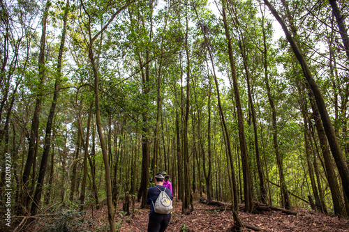 Traveller in the forest. Trekking is very popular in Vietnam © Nam