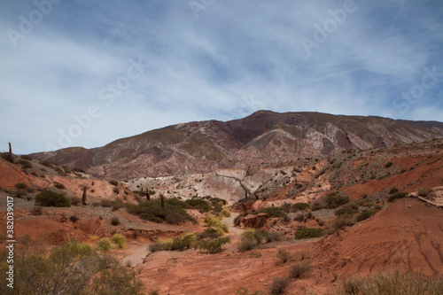 Desert landscape. View of the arid environment, canyon, desert flora, sand and rocky mountains with beautiful mineral colors and textures.