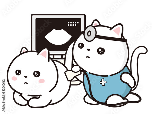 動物病院でエコー検査　診察をする獣医（猫）と受ける猫