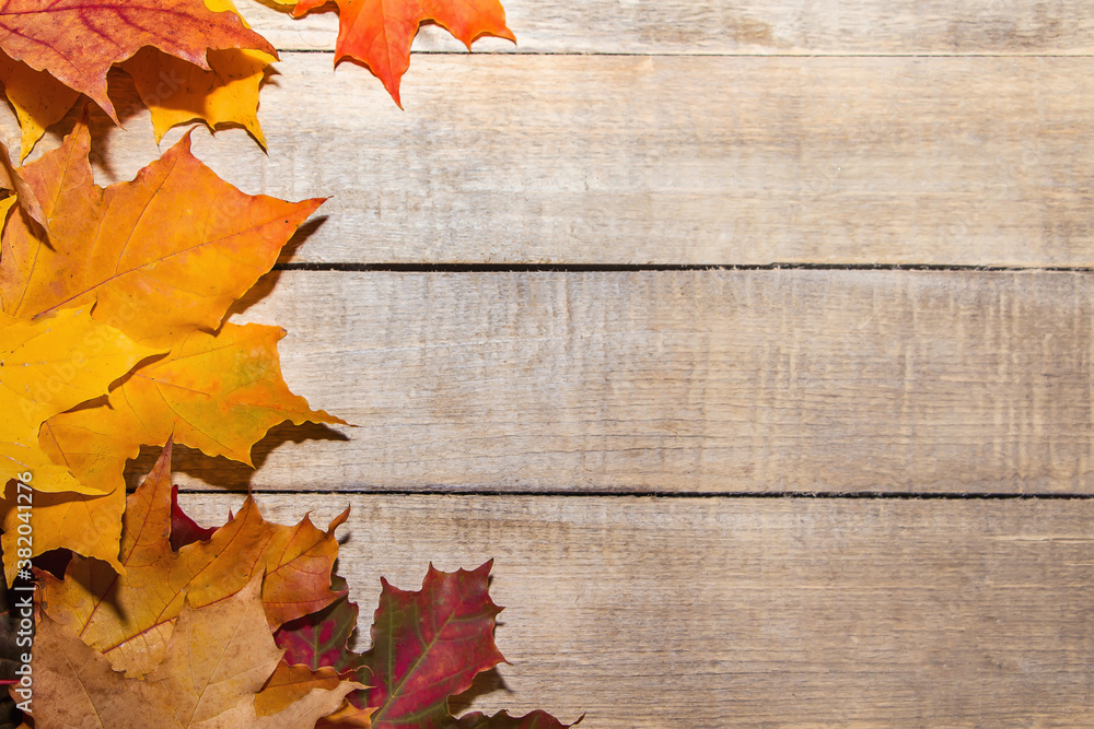 Colorful autumn leaves on a light wooden background