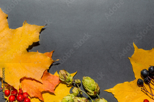 Yellow and red autumn leaves on a dark gray background. Autumn composition for design