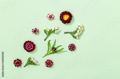 Natural dry colorful flowers  leaves and small blossom on soft green background. Floral design  greeting card with nature plant. Top view  flat lay.