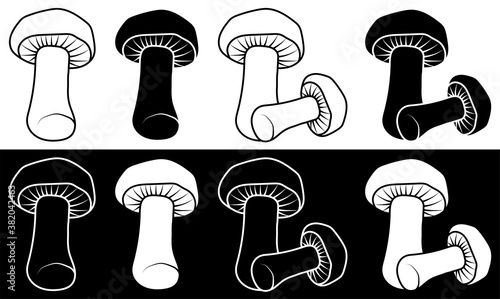 set of edible mushrooms. Mushroom soup. Vegetarian restaurant menu. Minimalistic black and white vector