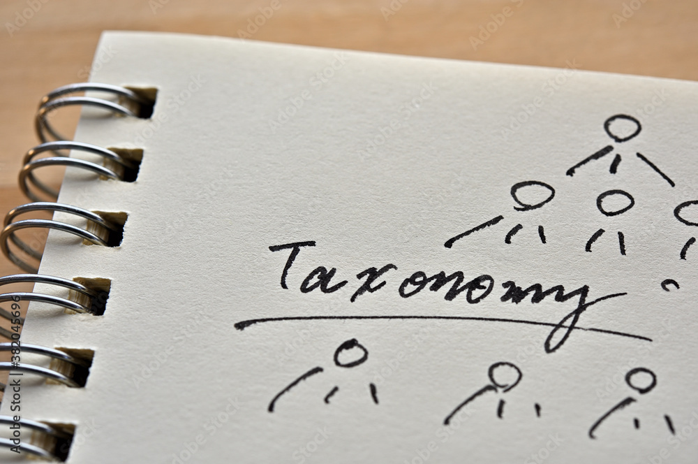 At the edge of the notebook, At the edge of the notebook,