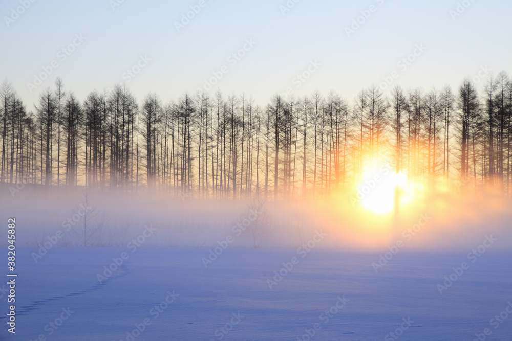 Fototapeta premium 雪原の朝日