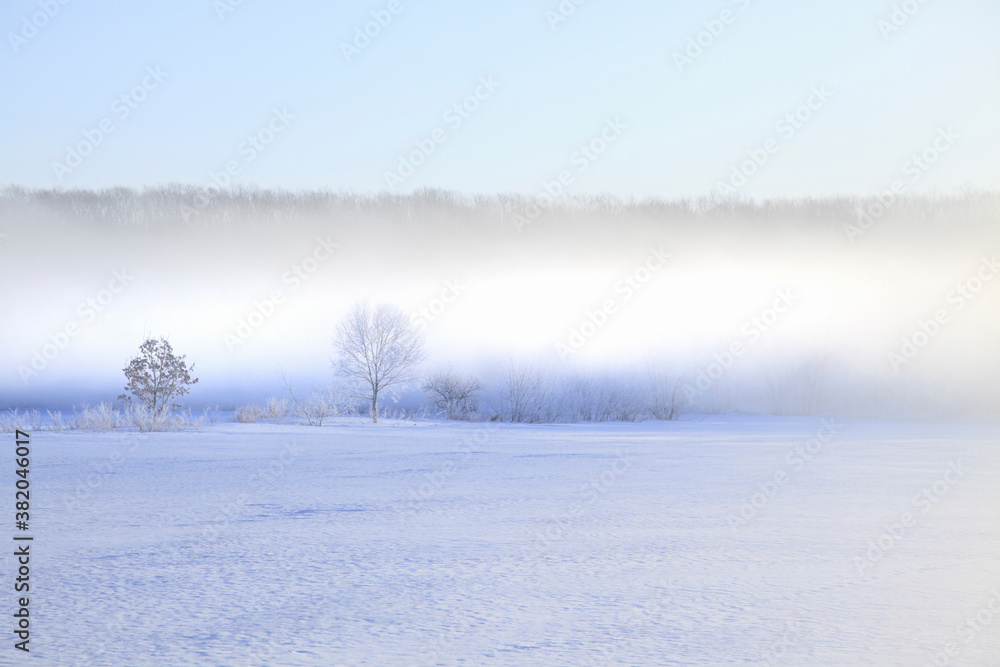 雪原のけあらしと木々 雪原のけあらしと木々