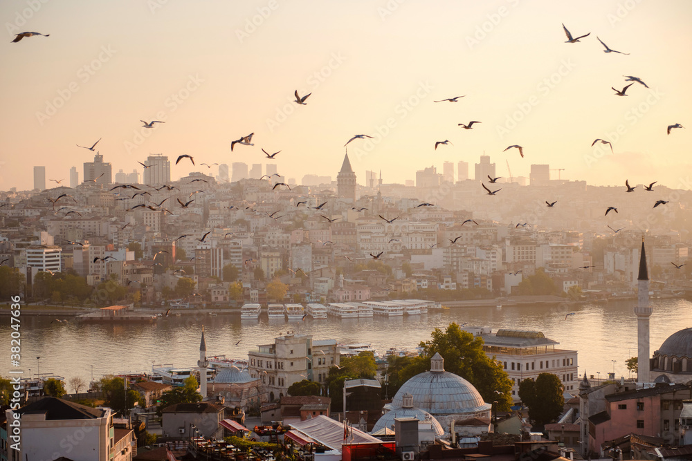 Obraz premium Morning sky with lots of seagulls flying over turkish city