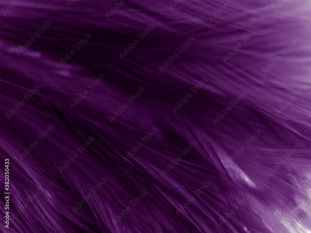 Beautiful abstract pastel purple feathers on dark background, black feather frame texture on purple background, dark feather, black banners Beautiful abstract pastel purple feathers on dark background, black feather frame texture on purple background, dark feather, black banners