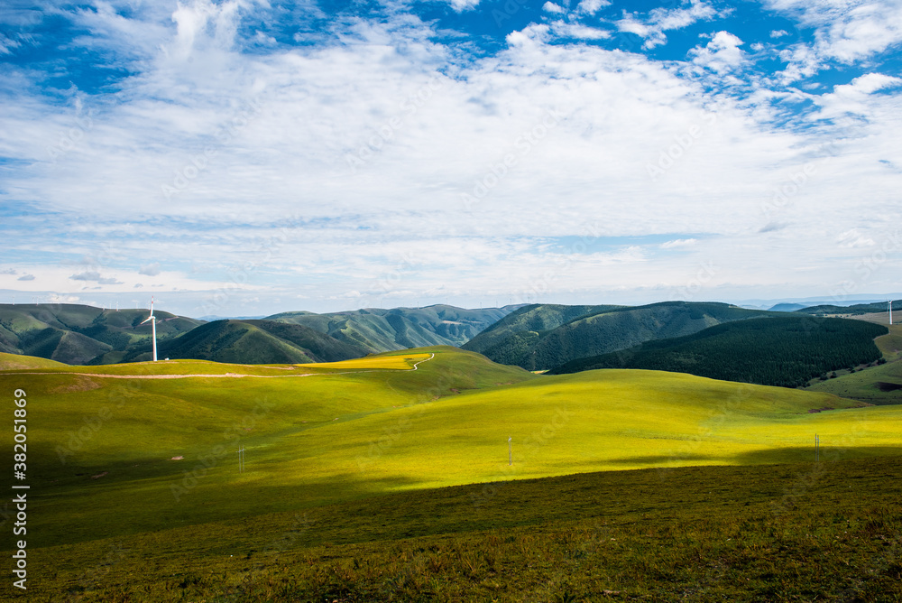 Obraz premium Bashang grassland pasture scenery in Hebei Province, China