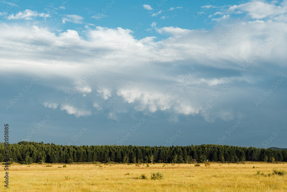 Bashang grassland pasture scenery in Hebei Province, China Bashang grassland pasture scenery in Hebei Province, China