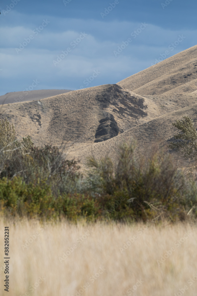 Fototapeta premium Bunchgrass Covered Hills in Eastern Washington Desert Landscape