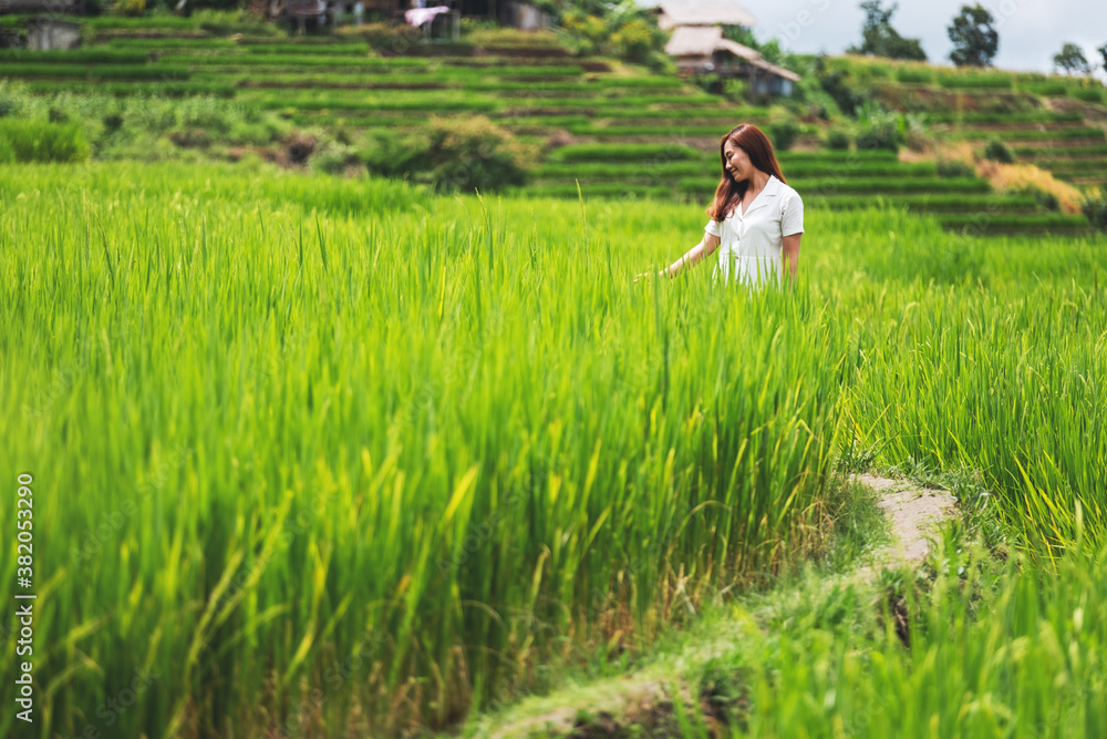 Portrait image of a beautiful young asian woman in paddy field