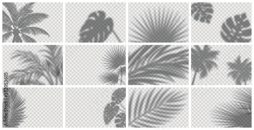 Realistic shadow overlay effect for mockup scenes and backgrounds. Vector set of transparent soft shadows of tropical leaves, branches, plants and palm trees. 