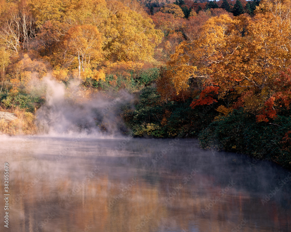 Fototapeta premium 八甲田,地獄沼