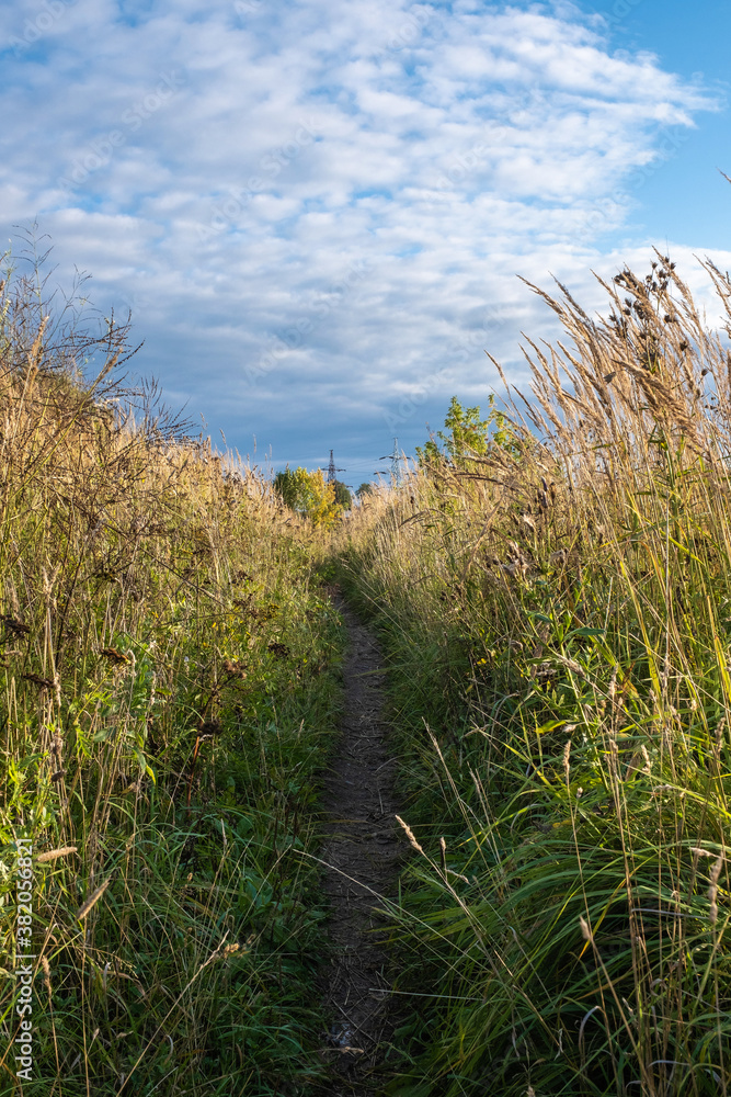 A path overgrown with tall dry grass against the background of a cloudy sky.