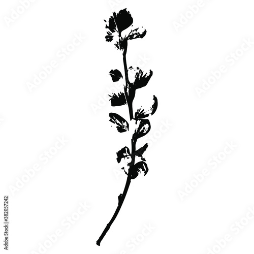 Imprint of a natural branch with leaves. Silhouette of a bush branch. Botanical vector illustration. Suitable for design, prints, postcards.