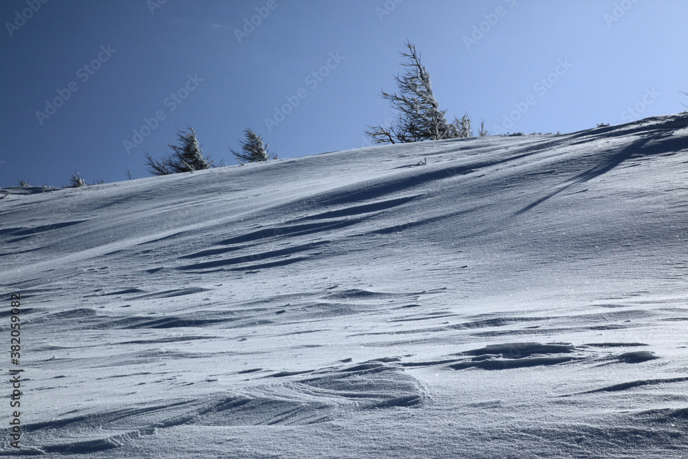 Obraz premium 雪原