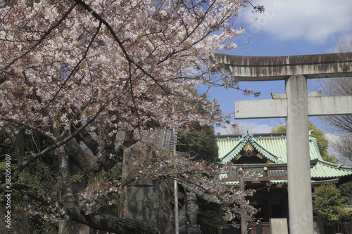 牛嶋神社