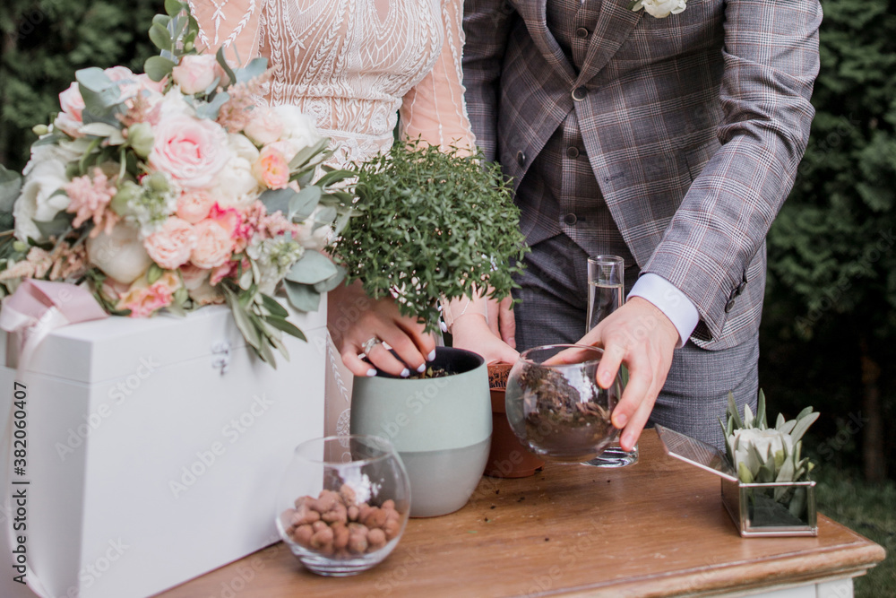 the groom and bride plant a tree at the ceremony the groom and bride plant a tree at the ceremony