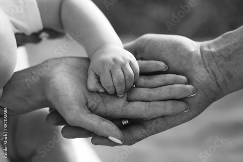 Fototapeta Naklejka Na Ścianę i Meble -  Family hands of father, mother and child together in black and white. Close up of loving mom dad and kid hold hands. Family value concept