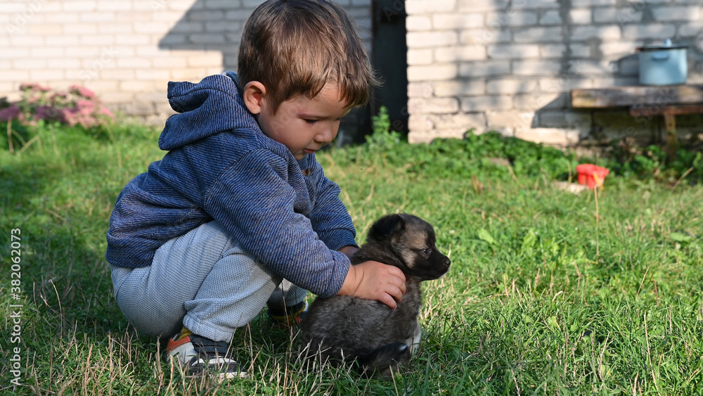child petting a small puppy child petting a small puppy