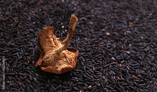 black rice and one mushroom