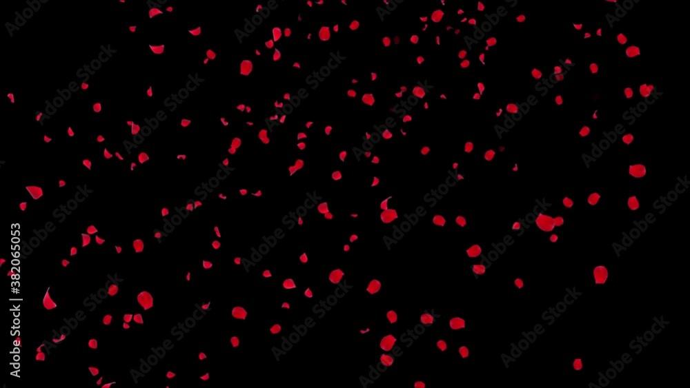 Rose Petals Red, Pink cherry Blossoms Blizzard Flying Across Screen Loop Background Green Screen. Funeral, Wedding, Love, Passion, Dream, spirit, beauty, Memorial, Event, Birthday, Beauty, Passion. Rose Petals Red, Pink cherry Blossoms Blizzard Flying Across Screen Loop Background Green Screen. Funeral, Wedding, Love, Passion, Dream, spirit, beauty, Memorial, Event, Birthday, Beauty, Passion.