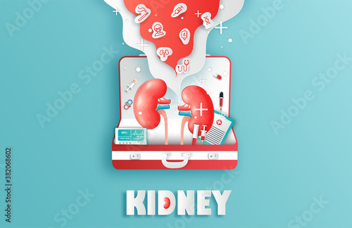 Human kidney and treatment watercolor style. A concept hospital for wallpaper and web.