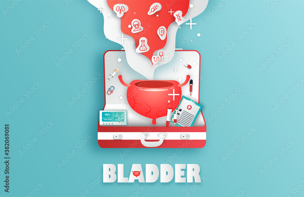 Human bladder and treatment papercut style. A concept hospital for