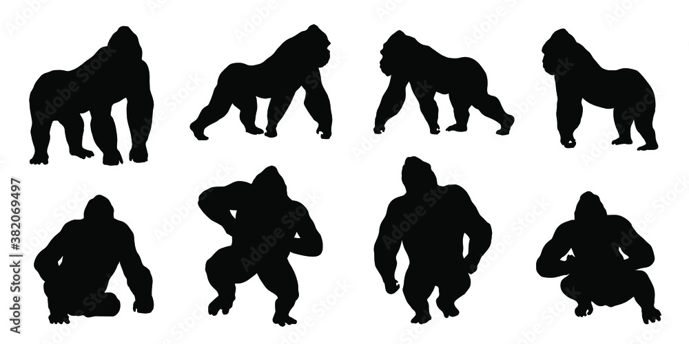 Gorilla Silhouettes Stock Vector Adobe Stock