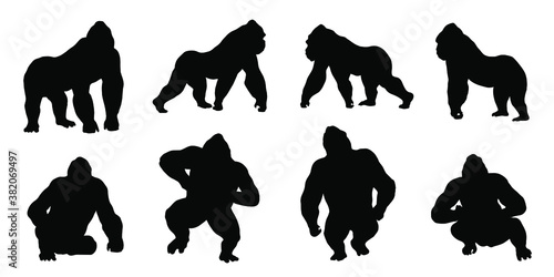 gorilla silhouettes photo
